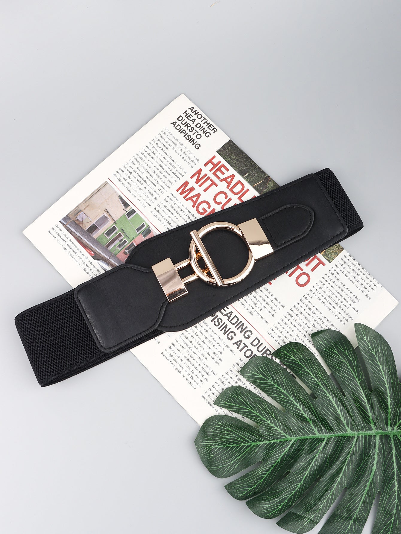 Snatched Elastic Wide Belt